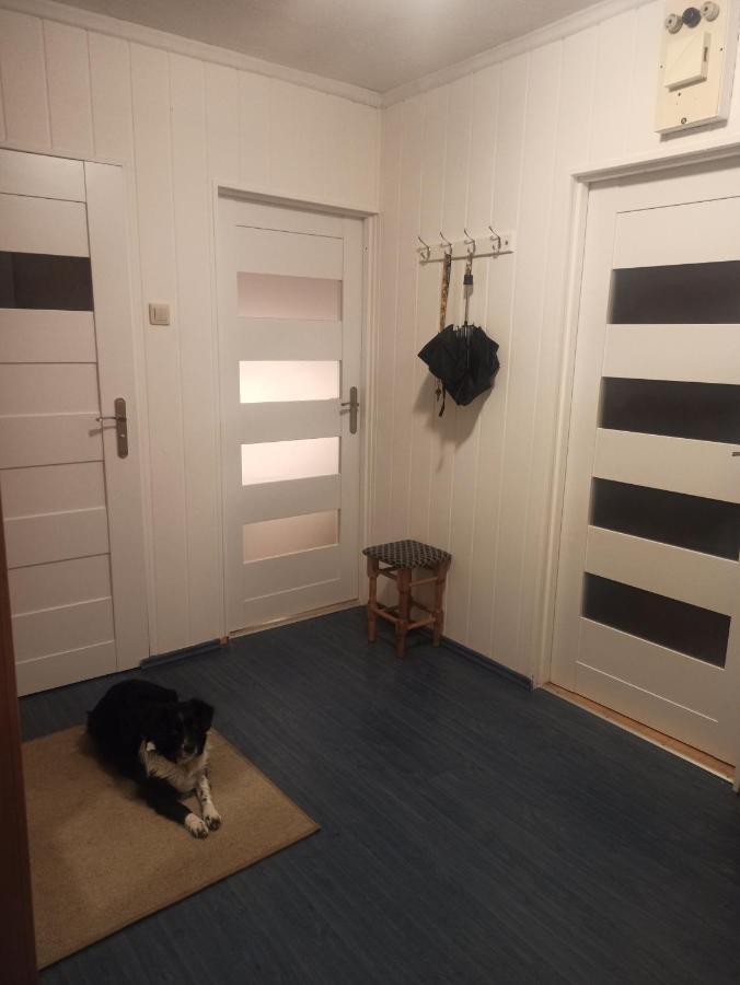 Apartament Za Rogiem Papierni Duszniki Zdrój Buitenkant foto